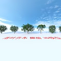 3D Model of Langyu Deciduous Arbor Under Blue Sky With White Clouds 3d model