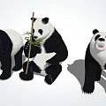 Three Giant Pandas with One Sitting Eating Bamboo and Two Standing