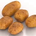 Potato Potato Food 3d model