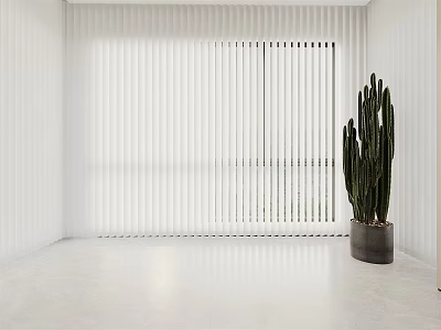 White Window Blinds In Minimalist Room Interior With Tall Green Cactus 3d model