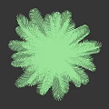 Green Palm Tree With Lush Feathery Leaves As Tropical Ornamental Garden Plant