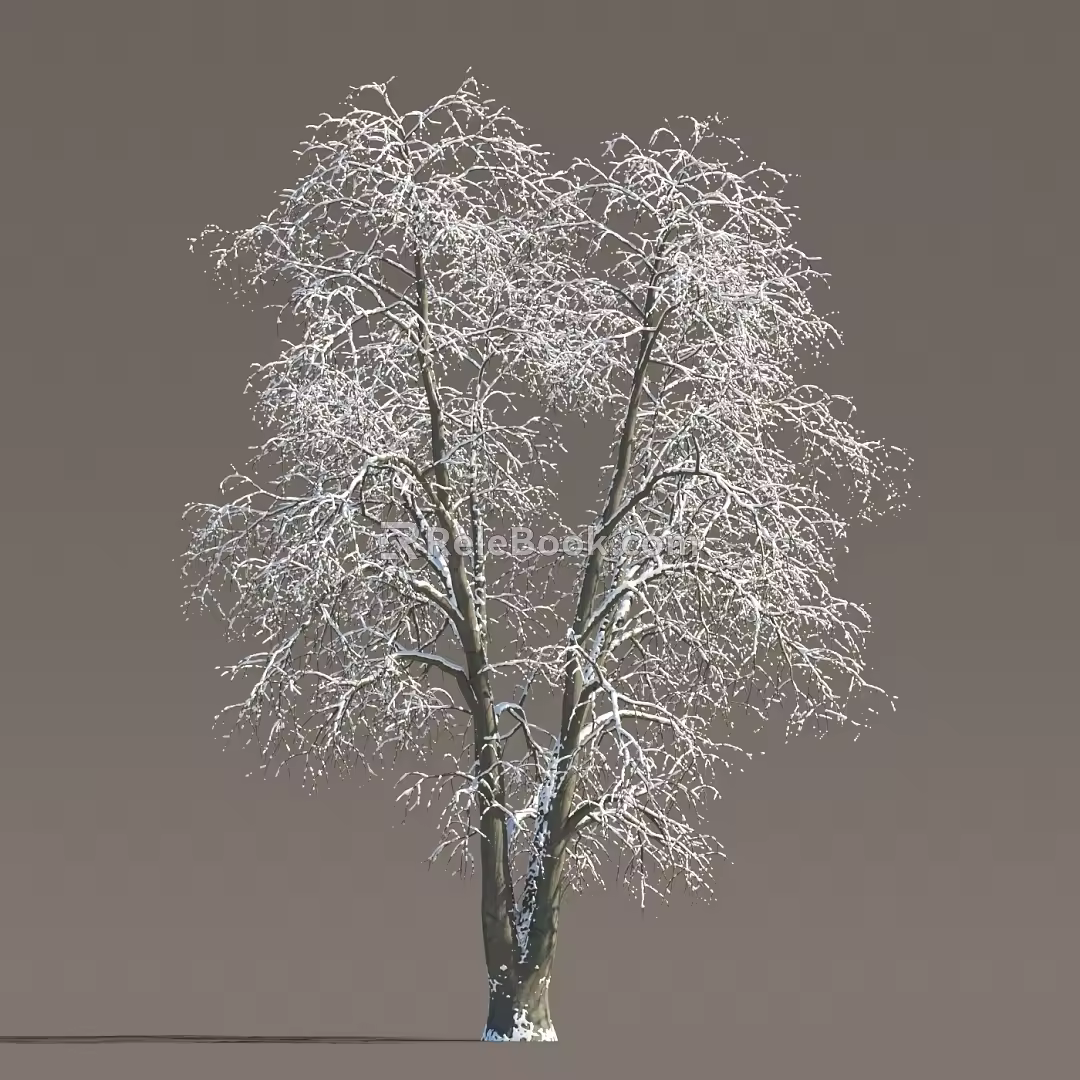 Winter Snow Trees Ice Trees Frozen Trees Snow Trees Big Trees Landscape Trees Street Trees 3d model