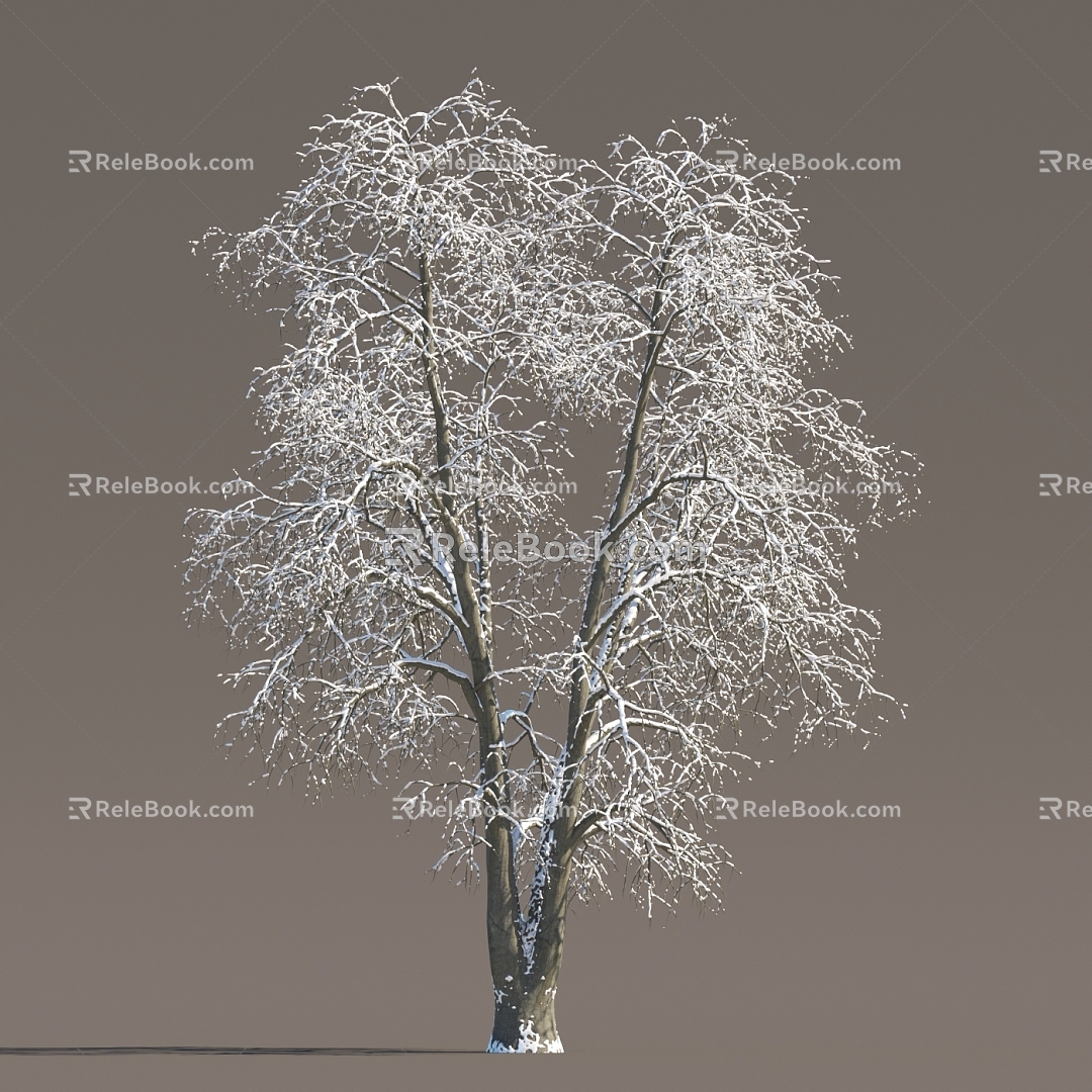 Winter Snow Trees Ice Trees Frozen Trees Snow Trees Trees Big Trees Landscape Trees Street Trees 3d model