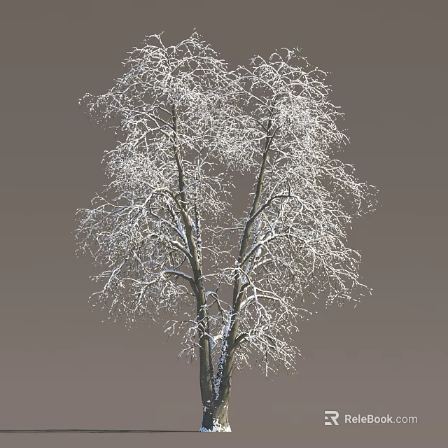 Snow Covered Tree With Snow On Branches Against Gray Background 3d model 