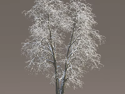 Snow Covered Tree With Snow On Branches Against Gray Background 3d model