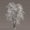 Winter Snow Trees Ice Trees Frozen Trees Snow Trees Trees Big Trees Landscape Trees Street Trees 3d model