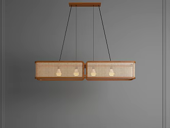 New Chinese Chandelier Rattan Chandelier Long Chandelier Tea Room Chandelier Restaurant Chandelier Zen Chandelier 3d model