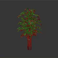 Indoor Green Plant with Multiple Trunks Lush Leaves in Dark Pot Grey Background