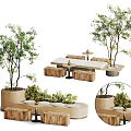 Outdoor Table Surrounded by Trees Green Plants and Wooden Stools in Natural Setting