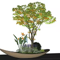 Modern Decorative Tree Pit With Red Leaf Tree And Small Plants 3d model