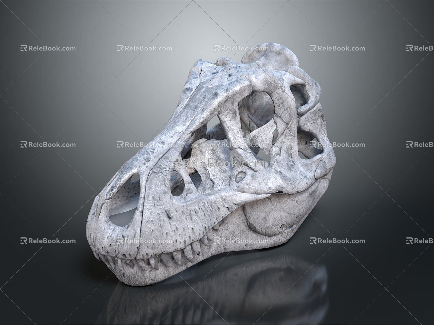 Modern Dinosaur Skull Skull Tyrannosaurus Rex Skull Animal Skull 3d model