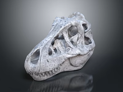 Medical Device 3D Skull Model With Gray White Texture For Educational Research 3d model