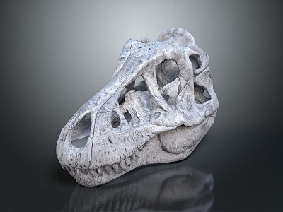 Modern Dinosaur Skull Tyrannosaurus Rex Skull Animal Skull 3d model