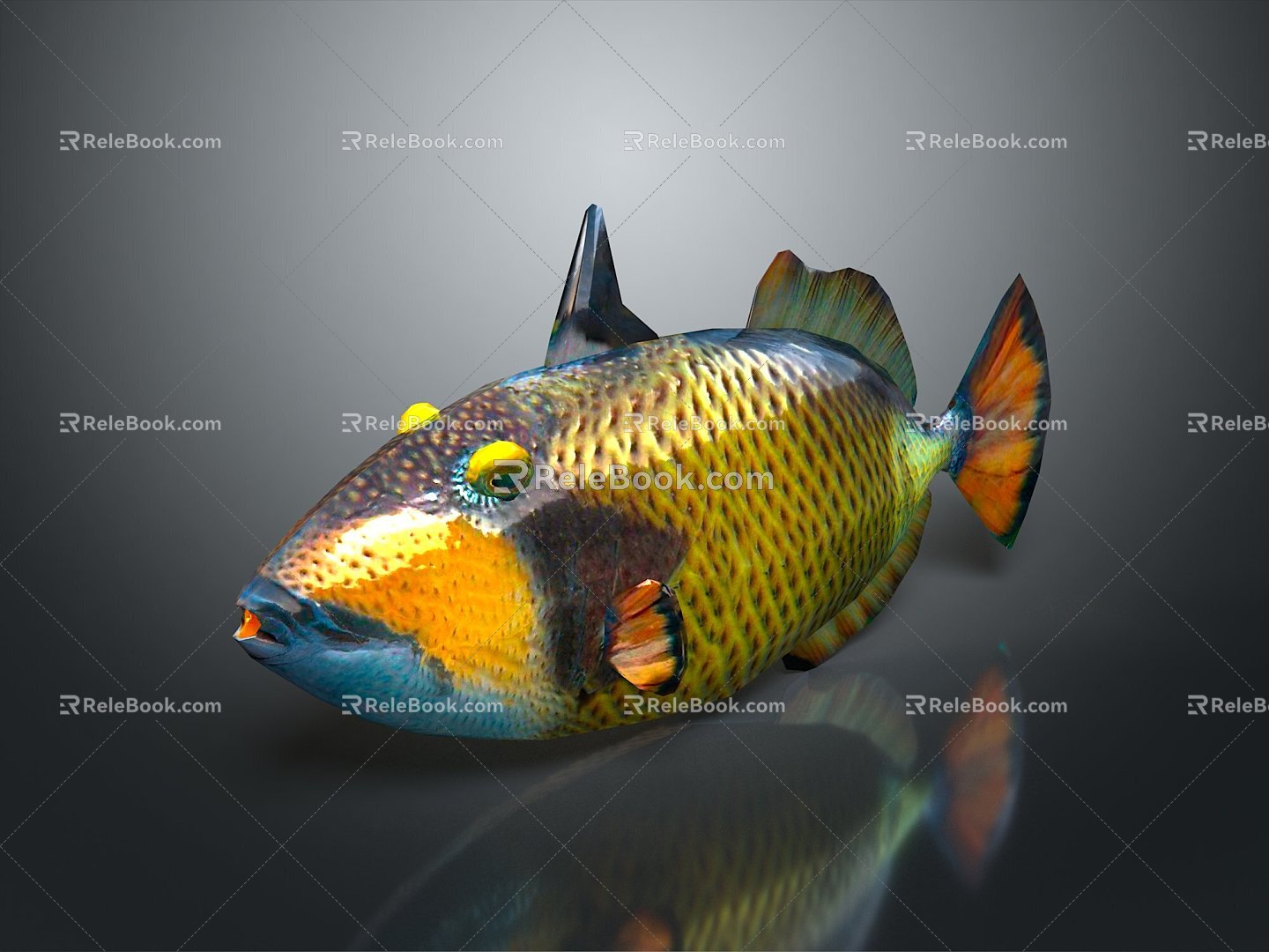 Tropical Fish Colorful Fish Ornamental Fish Aquarium Coral Fish Underwater Fish Color Fish Cartoon Fish Freshwater Fish 3d model