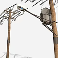 Wooden Utility Poles With Power Lines Street Light And Electrical Box Setup