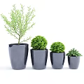 Garden Decor Featuring Living Wall Various Planters Green Plants White Stones And Glass Vases
