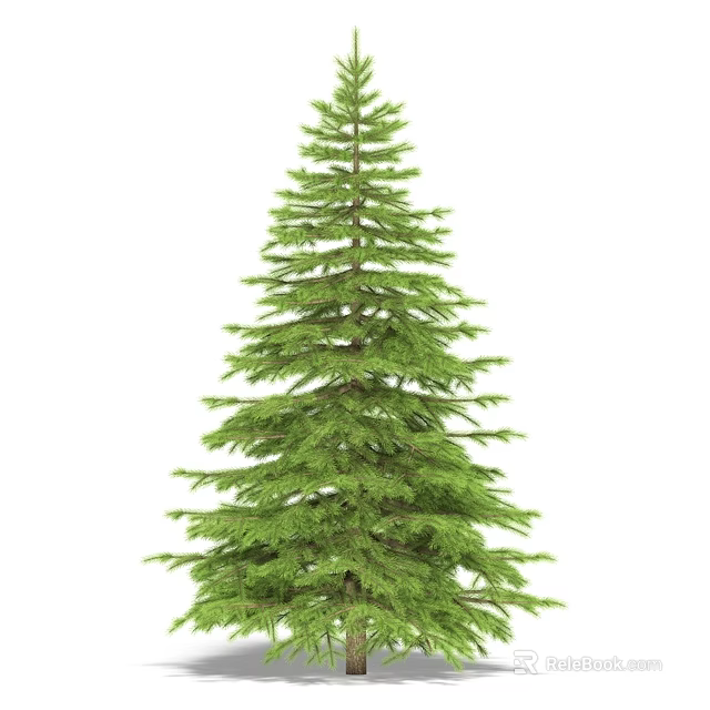 Tall Evergreen Arbor With Lush Green Foliage And Upright Growth Habit 3d model 