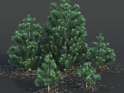 Decorative Ornament Set Featuring Green Pine Trees In Various Sizes For Home Decor 3d model
