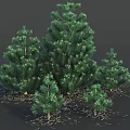 Decorative Ornament Set Featuring Green Pine Trees In Various Sizes For Home Decor