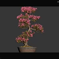 Pink Flowering Bonsai Plant with Artistic Trunk in Decorative Clay Pot