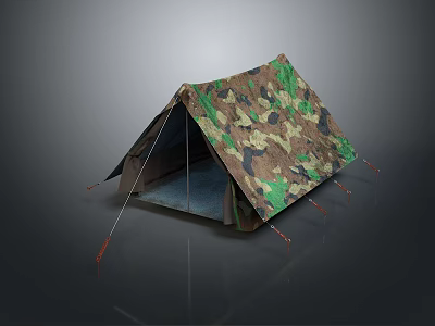 Tent Herrings Tent Outdoor Tent Camping Tent Single Tent Outdoor Camping Outdoor Camping 3d model