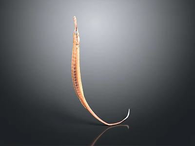 Slender Brown Striped Aquatic Animal With Curved Body And Reflective Surface On Gray Gradient Background 3d model