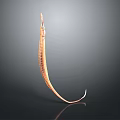 Slender Brown Striped Aquatic Animal With Curved Body And Reflective Surface On Gray Gradient Background