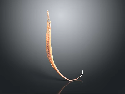 Fish Freshwater Fish Sea Fish Animal Game Animal Cartoon Animal Realistic Animal 3d model