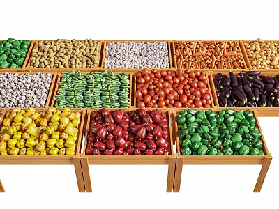 Assorted Fresh Vegetables in Various Colors Neatly Arranged on Wooden Shelves 3d model