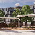 Park Landscape With Green Trees White Flowering Trees Modern Buildings And Paved Area