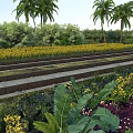 Stepped Road Infrastructure With Palm Trees Green Vegetation And Yellow Flowers
