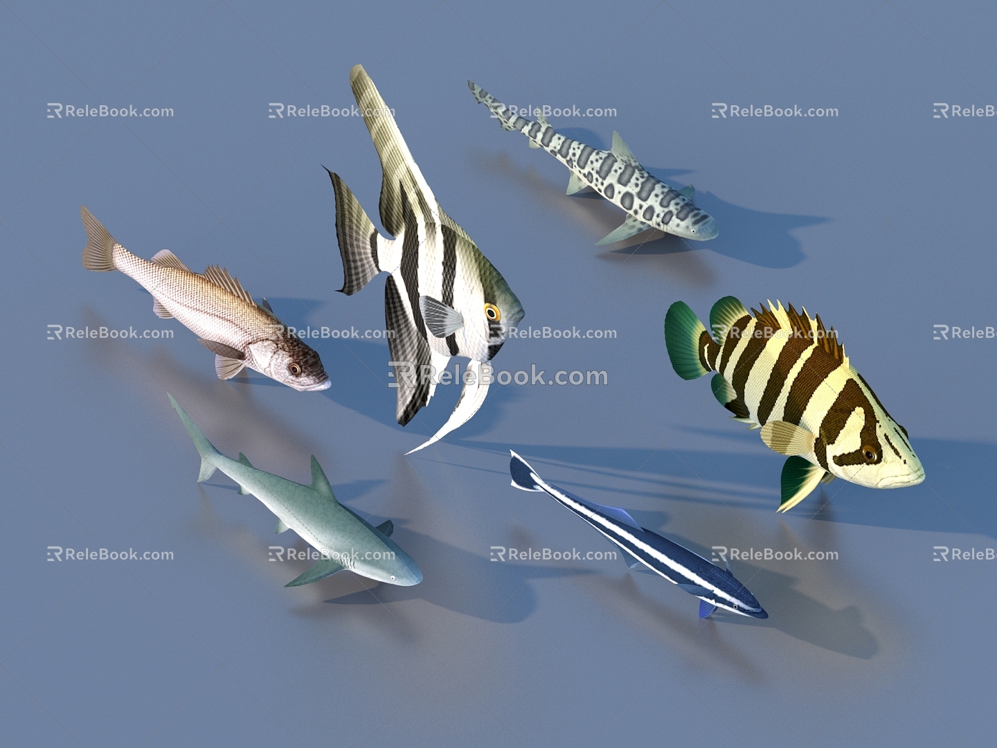 goldfish ornamental fish pet fish koi carp 3d model