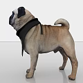 Cute Pug Dog Wearing Black Bandana With Best Chef Logo And Utensils Design