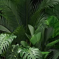 Lush Tropical Green Plants With Various Leaf Shapes And Foliage