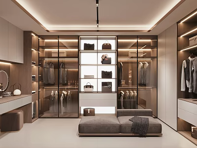 Modern Walk in Closet Interior With Glass Cabinets Hanging Racks And Sofa Bench 3d model