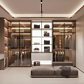 Modern Walk in Closet Interior With Glass Cabinets Hanging Racks And Sofa Bench