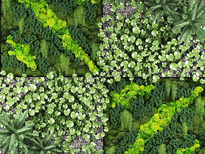 Living Green Plant Wall With Various Lush Plants And Natural Layered Design 3d model