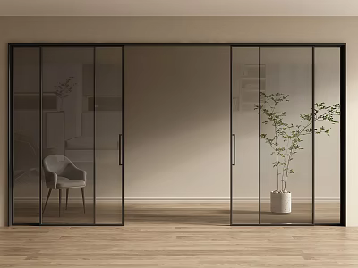 Modern Glass Sliding Doors in Interior with Black Frame Wooden Floor and Plant 3d model