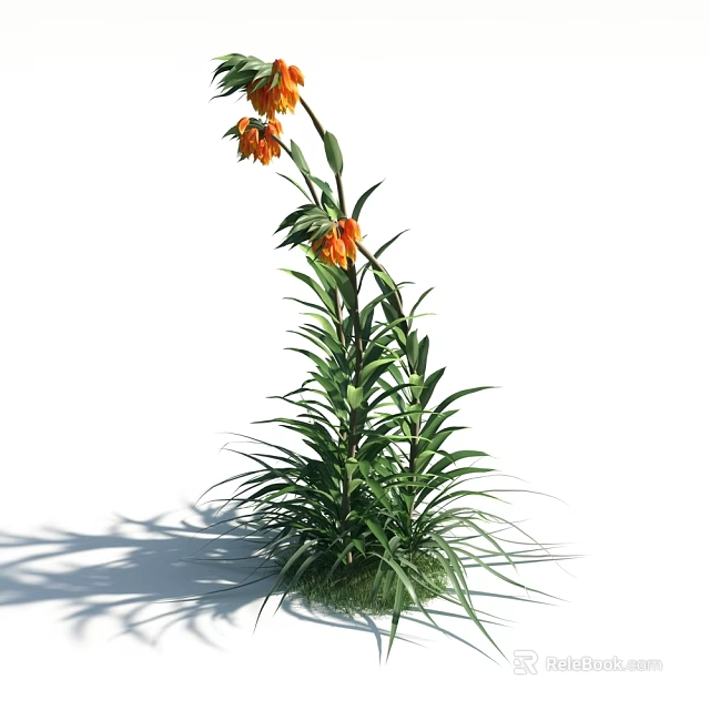 Vibrant Green Plant With Orange Flowers Long Stem And Slender Leaves 3d model 