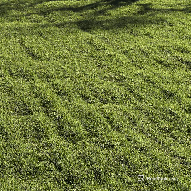 Lush Green Grass Field Under Sunlight With Natural Texture And Fresh Appearance 3d model 