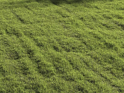 Lush Green Grass Field Under Sunlight With Natural Texture And Fresh Appearance 3d model
