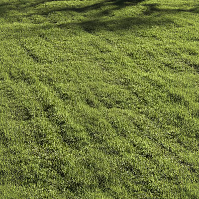 Lush Green Grass Field Under Sunlight With Natural Texture And Fresh Appearance 3d model