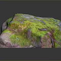 Natural Wood And Stone Material Featuring Green Pink Color Textured Surface