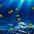 Group of Yellow Fish Swimming in Blue Ocean Water with Sunlight Rays and Coral Reef