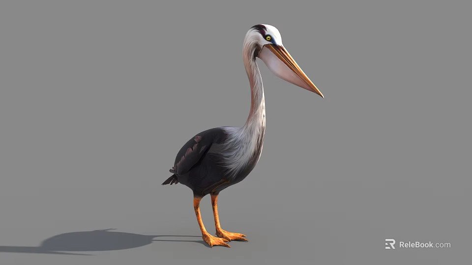 Pelican with White Head Long Orange Beak Black Gray Feathers Orange Legs on Gray Background 3d model 