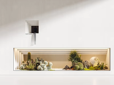 Indoor Miniature Garden Design Featuring Cacti Succulents Moss And Decorative Stones 3d model