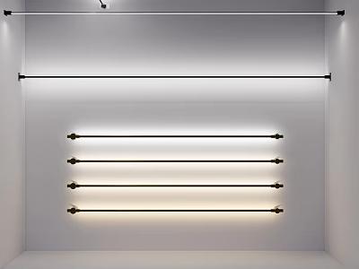 White Display Space With Black And Gold Metal Hanging Rails 3d model