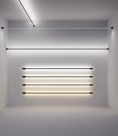 White Display Space With Black And Gold Metal Hanging Rails 3d model
