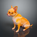 Small Golden Chihuahua Dog Sitting Calmly On Black Background With Shiny Reflection