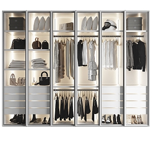 Wardrobe with glass door 3d model